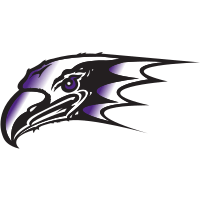 Niagara logo
