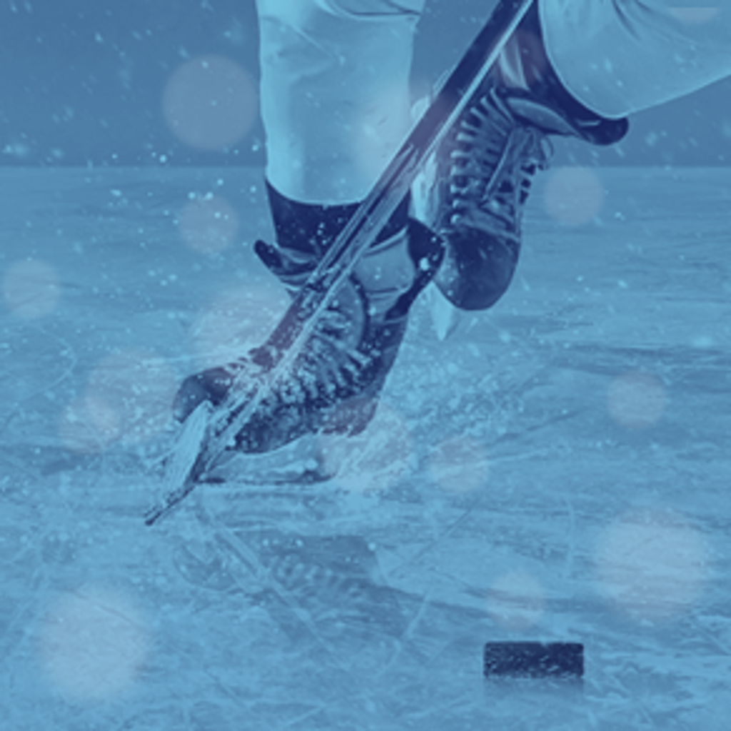 2026/2027 PAHA Registration