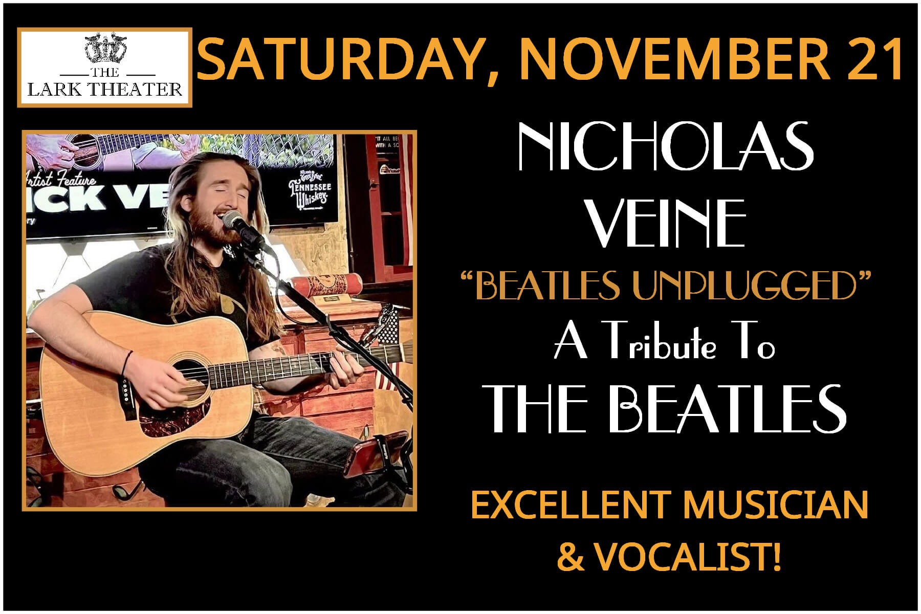 Nicholas Veine - Beatles Unplugged