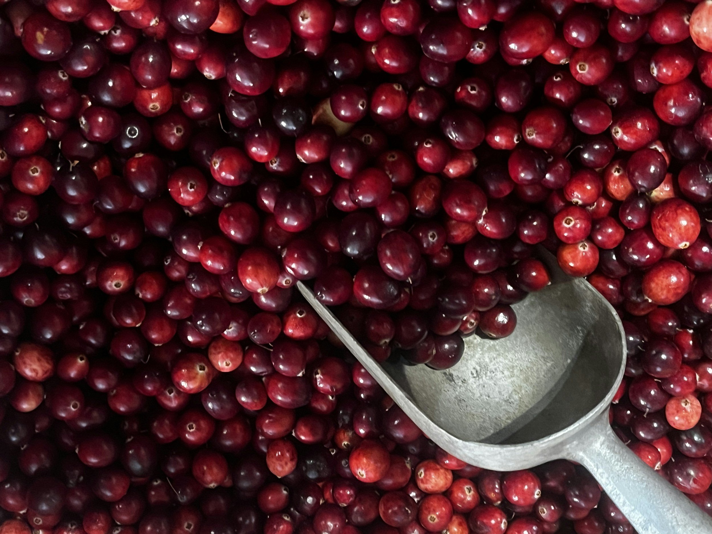 Cranberry Fundraiser