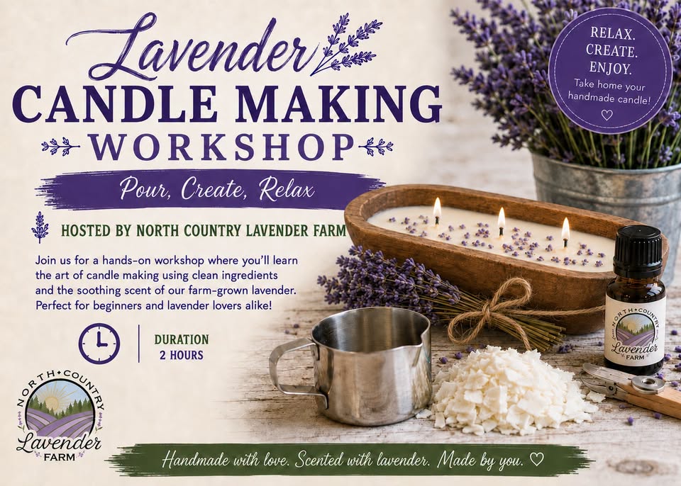 Lavender Candle Making Workshop & Essential Oil Distilling