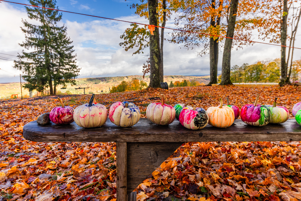 Fall Colors Crop
