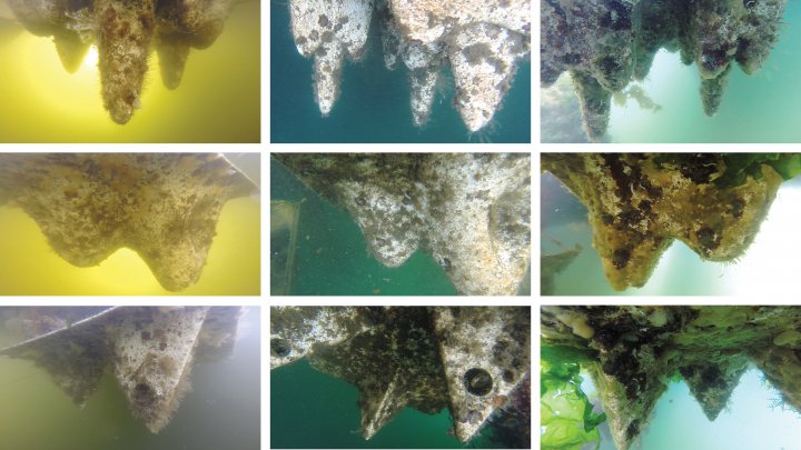 Underwater views of ecological substrate prototypes, with marine invertebrate habitats