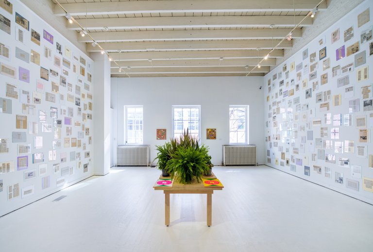 A photo of a serene gallery with newspaper clippings filling the walls and a table with plants in the center.