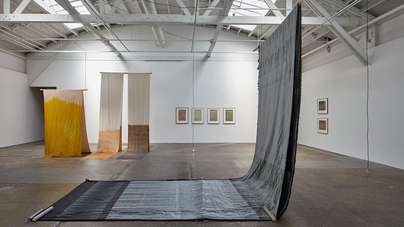 Installation view of Susann Kriemann, Canopy, canopy at the CCA Wattis Institute.