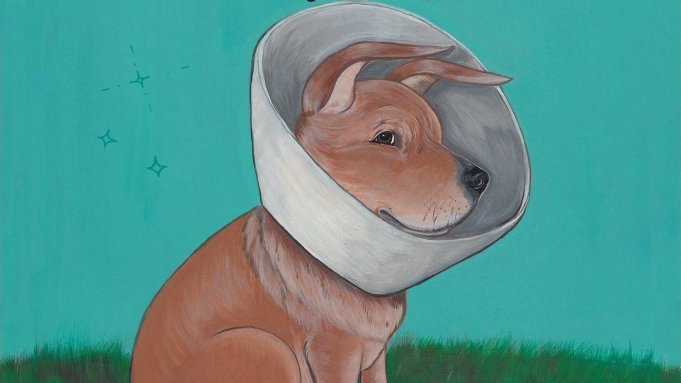 Illustration from Nicole J Georges’ "Fetch: How a Bad Dog Brought Me Home."