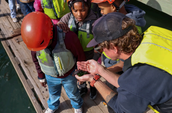 Chris Childers, bottom, Executive Director of Treasure Island Sailing Center, collects green algae and other tiny creatures living under the deck to show students.
