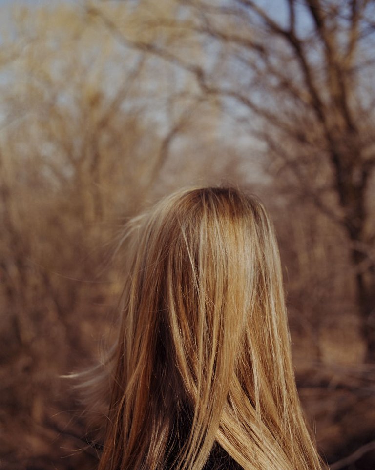 Todd Hido, Untitled #2653, 2000