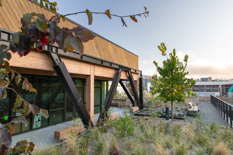 The outside of the CCA Wattis Institute.