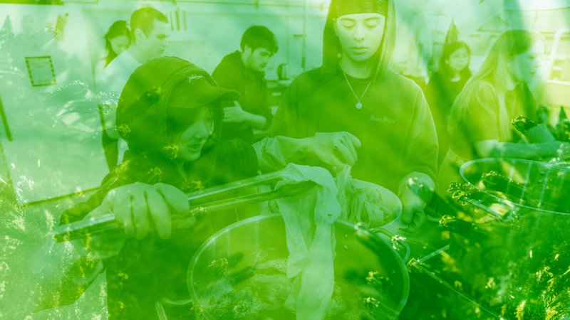 releaseNotes-2025a-hero