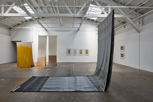 Installation view of Susann Kriemann, Canopy, canopy at the CCA Wattis Institute