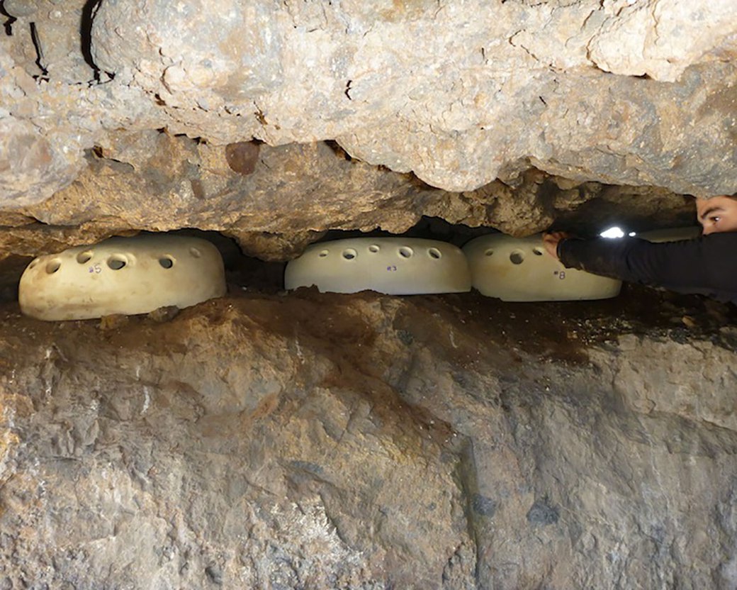An Ashy Storm Petrel nest site in Channel Islands.