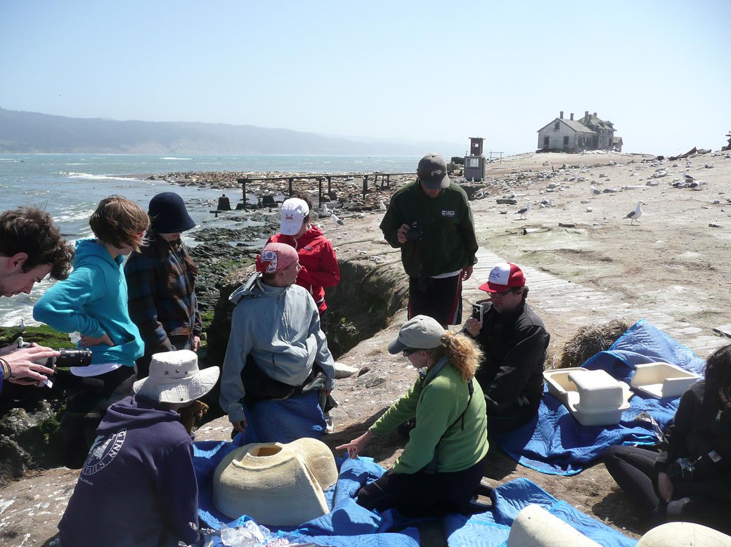 CCA students with Oikonos's Michelle Hester for onsite critique and installation in 2010.