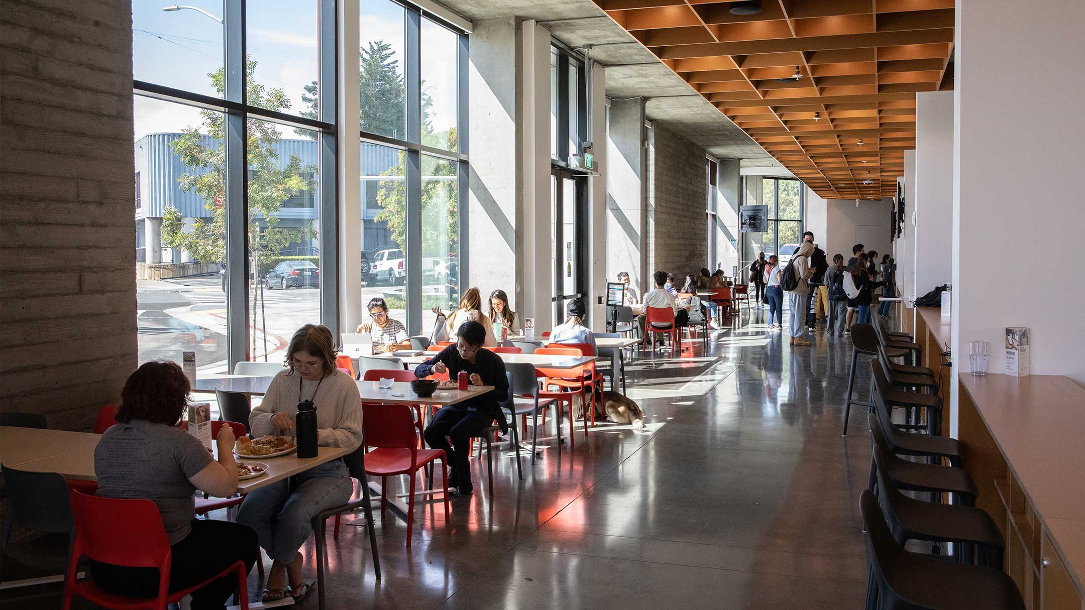 A cafe with sunshine streaming in the windows and students gathered at white tables surrounded by cheerful orange chairs.