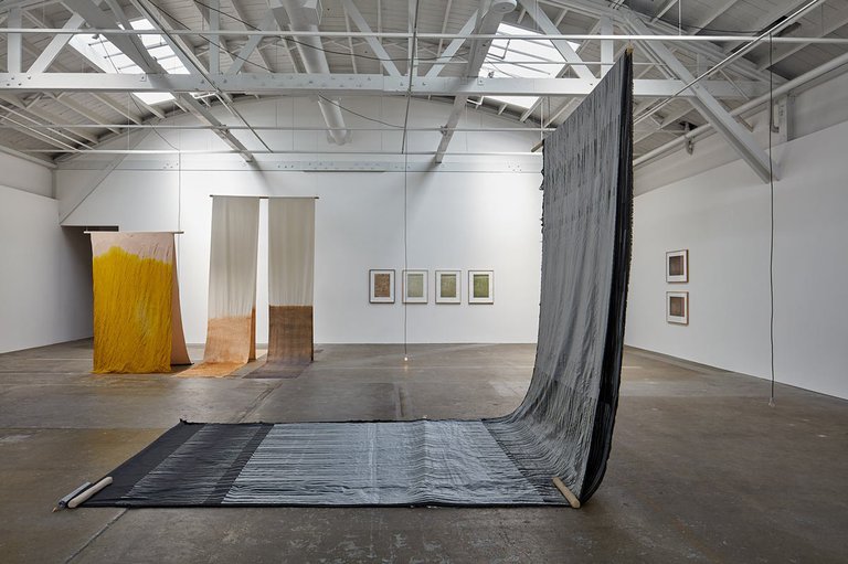 Installation view of Susann Kriemann, Canopy, canopy at the CCA Wattis Institute.