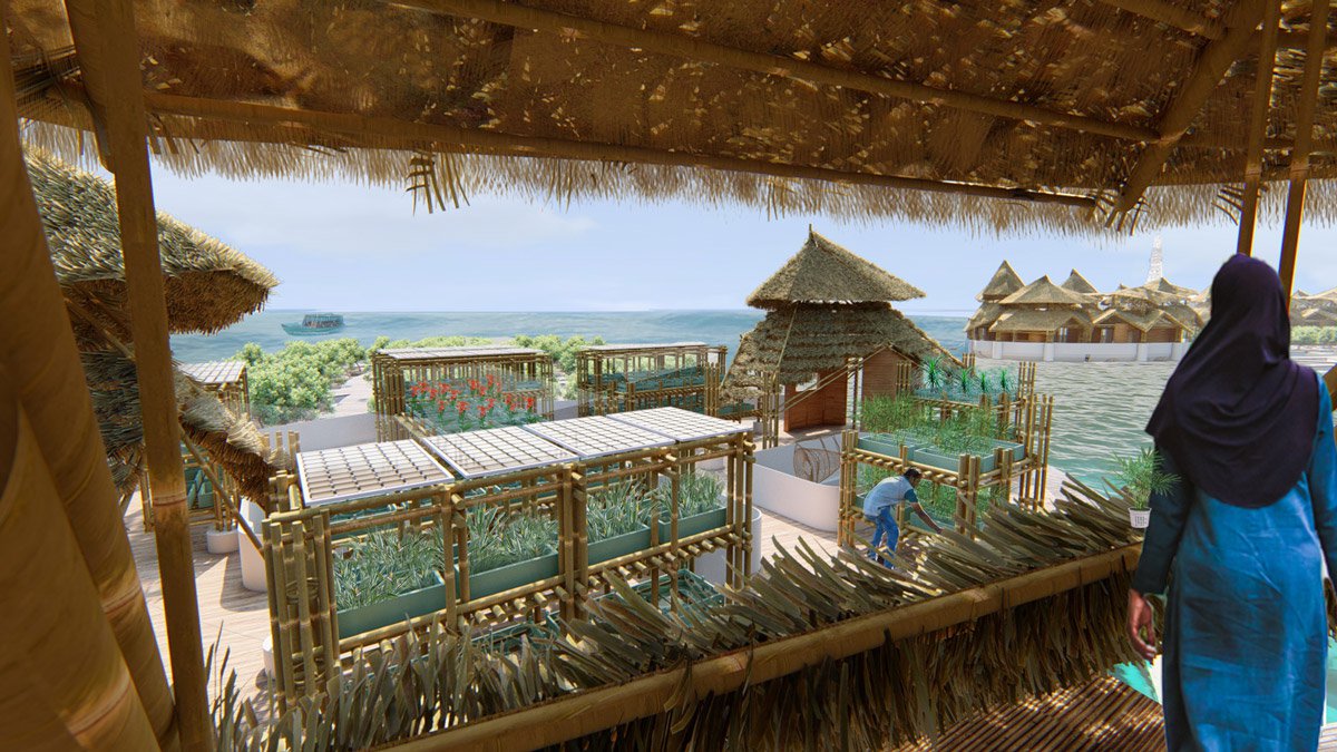 Image of mangrove nursery in a design proposal for an island in the Maldives