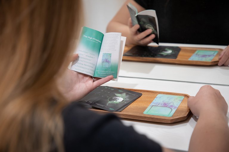 Eryn Bathke, Terra Cards.