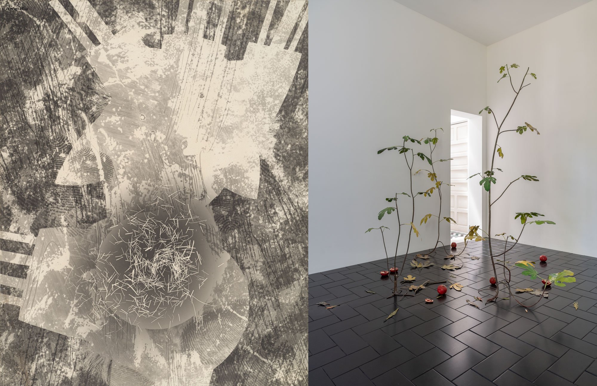 Images: (Left) Emilio Amero, Photogram (star pattern), ca. 1932. Vintage silver print on paper on mount, 9 3⁄4 x 7 3⁄4 in. Collection of the Smithsonian American Art Museum, museum purchase through the Luisita L. and Franz H. Denghausen Endowment. (Right) Alvaro Urbano, Granada Granada (installation view), Travesía Cuatro, Guadalajara, MX. Image courtesy of Álvaro Urbano and Travesía Cuatro.