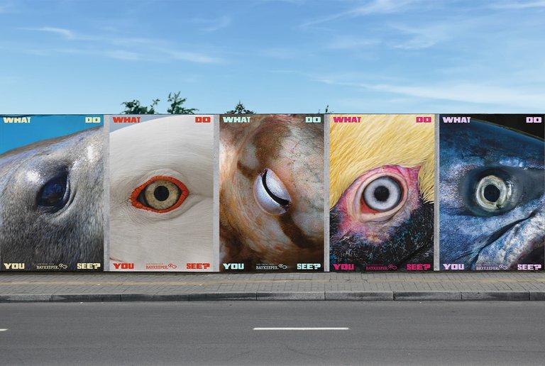 A billboard-style mockup featuring five side-by-side posters of extreme close-up wildlife eyes, each reading "What Do You See? SF Baykeeper."