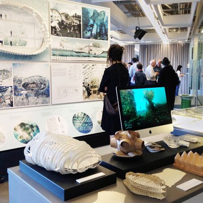 A student looks over a display at the Architectural Ecologies Lab.