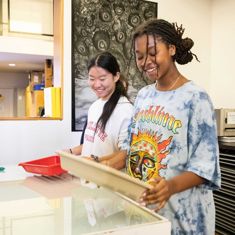 homepage_yasp-atelier-reg_2024_tableau-003