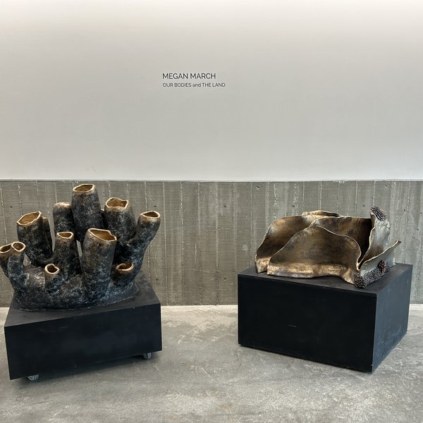 DG Lobby installation example