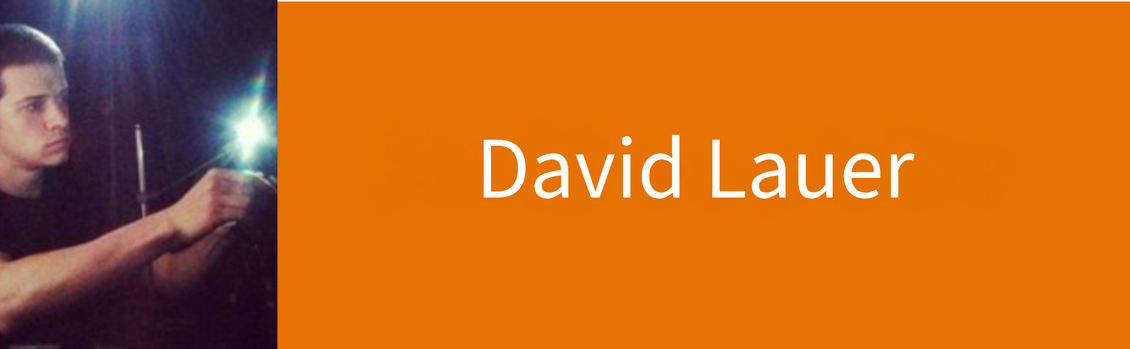 David Lauer Banner