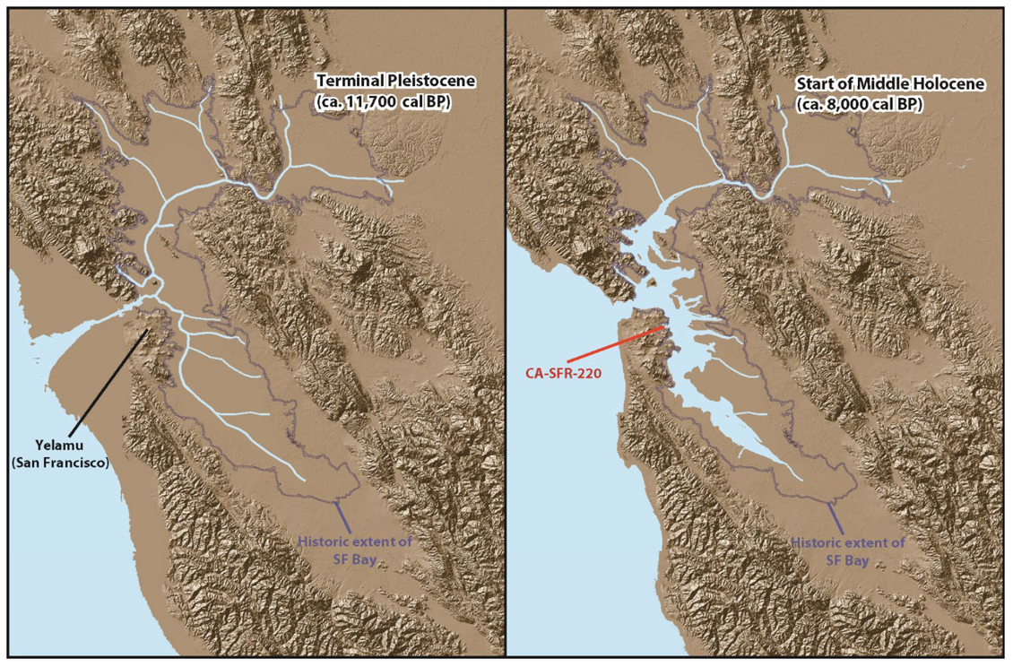 Graphic depiction of sea level change in the San Francisco Bay-Delta region between
the terminal Pleistocene and Middle Holocene