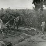 14013103CA-garden in southern corner of campus-1942.jpg