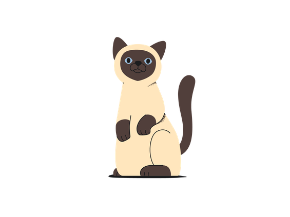 illustration of cat