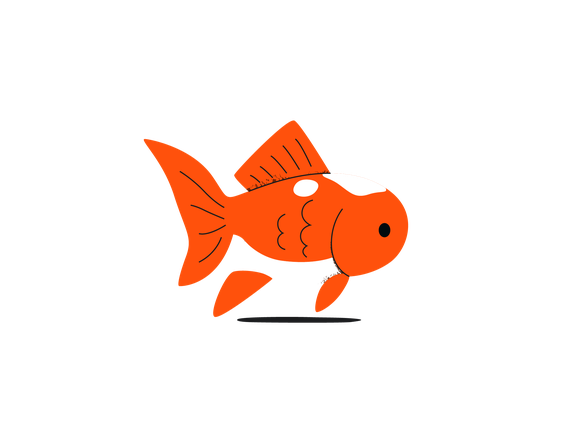 fish illustration