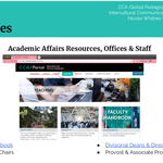 Intercultural Communications: A Case Study