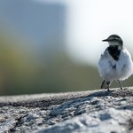 nagara-oyodo-vtCZi0bthnQ-unsplash (1).jpg