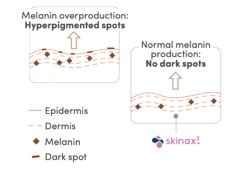 mecanism of action skinax dark spots