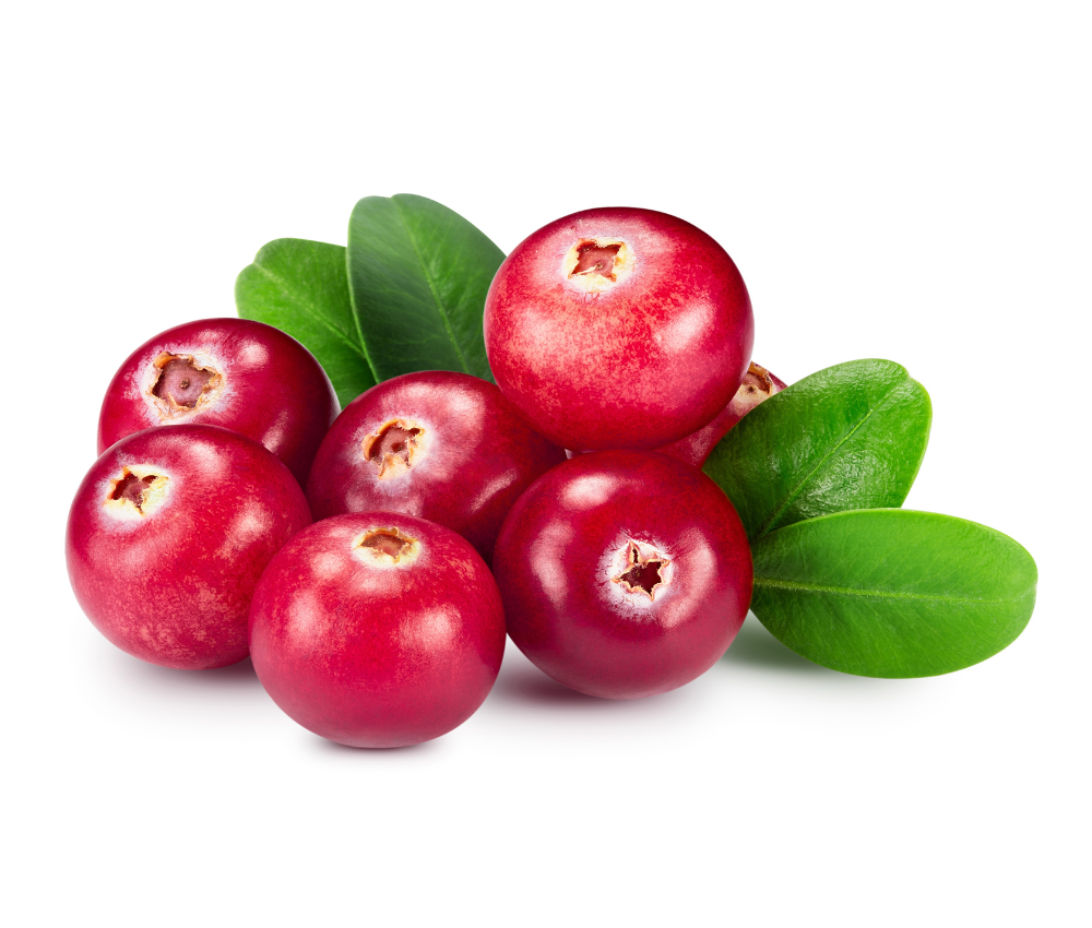 Cranberry