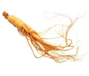 ginseng extract supplier food supplements