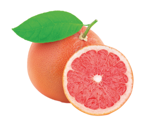 grapefruit extract supplier food supplements