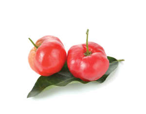 acerola extract supplier food supplements