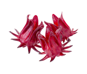 roselle hibiscus extract supplier food supplements