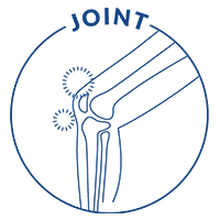 Joint