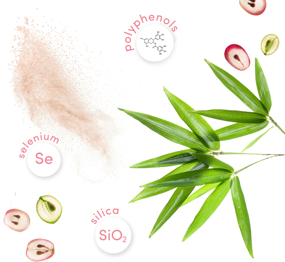 molécules hair'inside grape