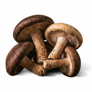 Shiitake