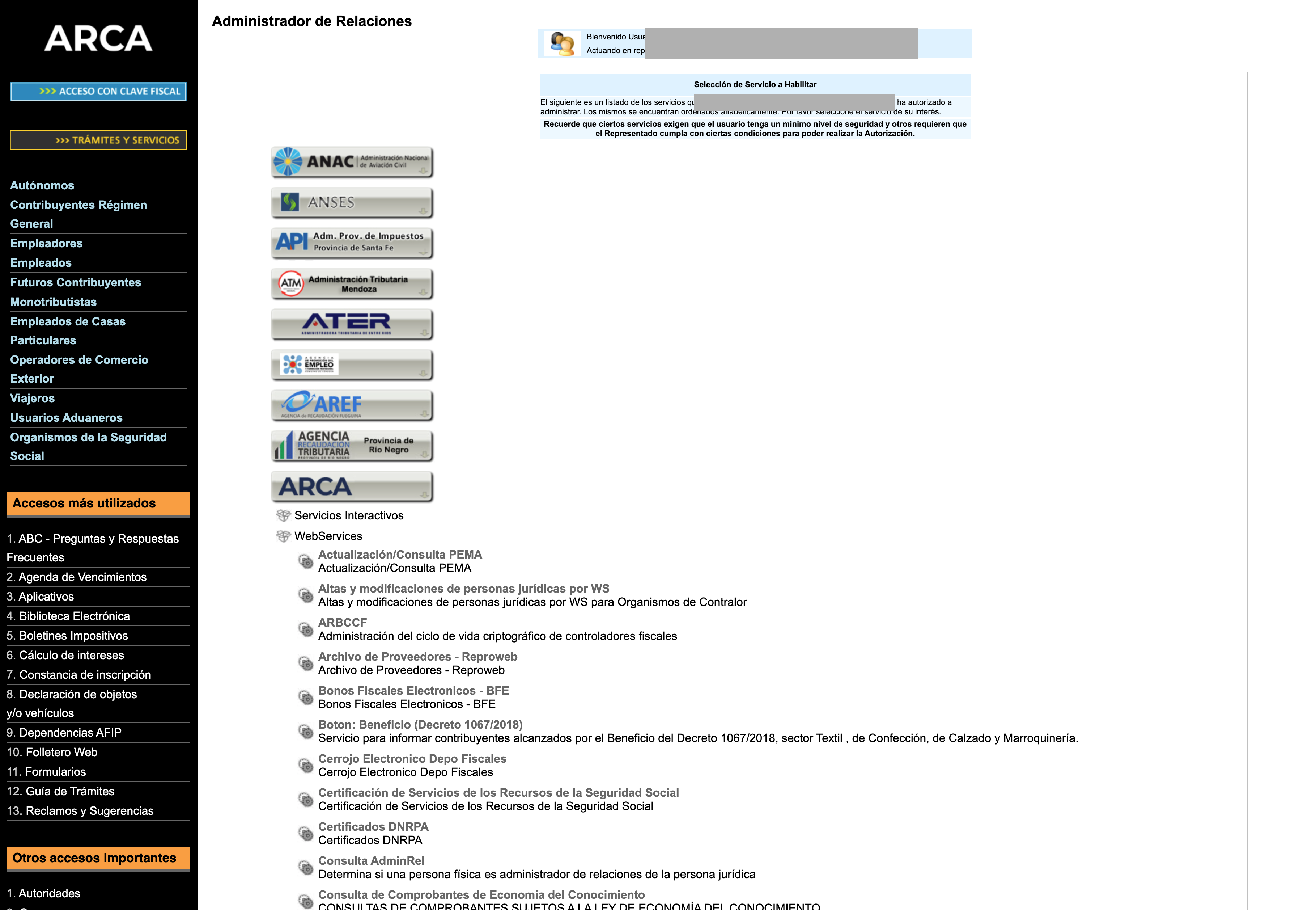 Elegir ARCA y desplegar WebServices
