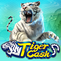 Tiger Cash