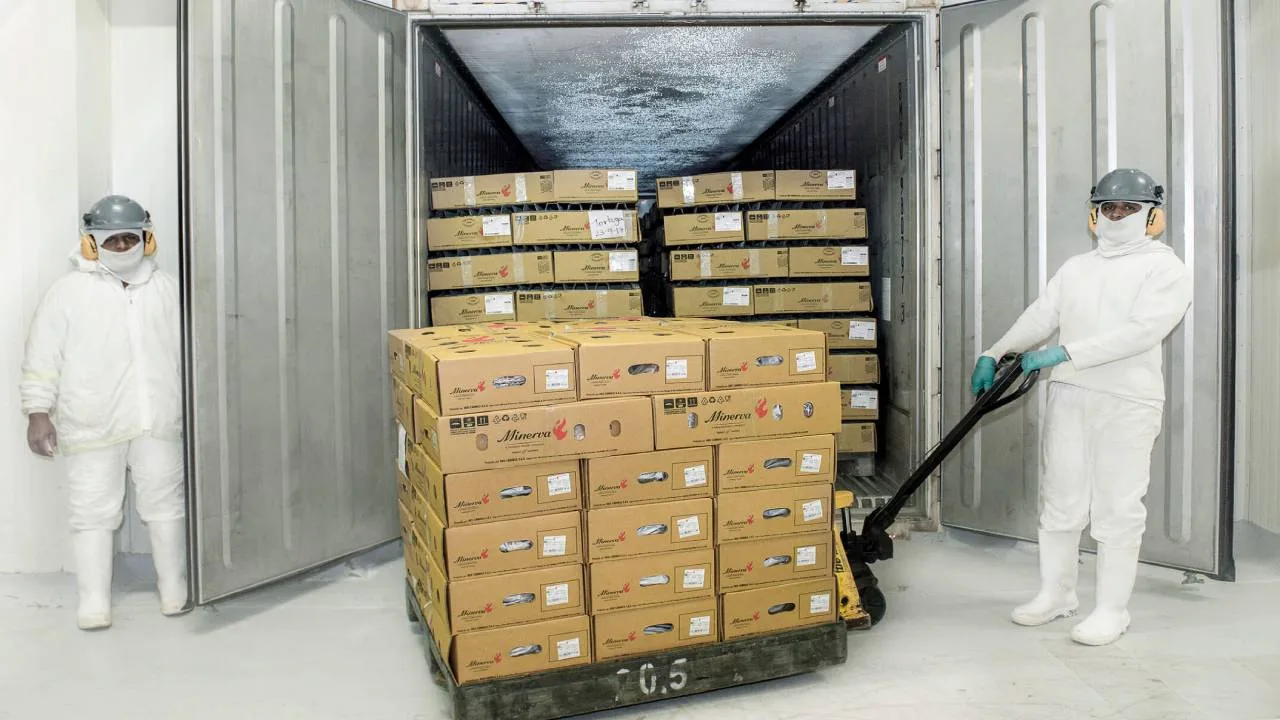 Cómo funciona un contenedor refrigerado: Todo lo que debes saber