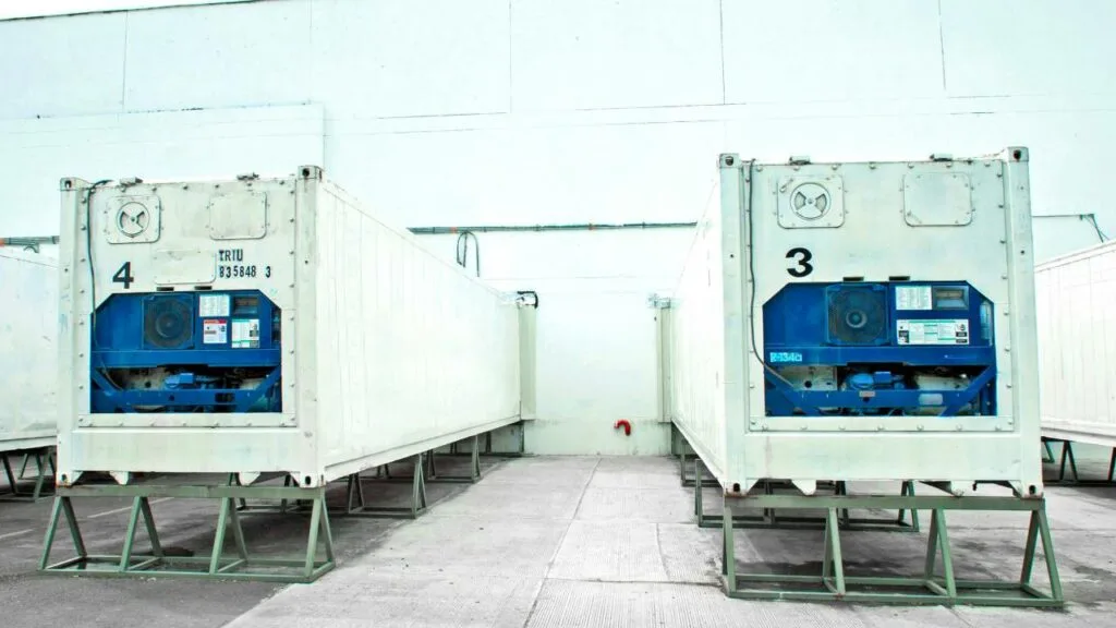 contenedores reefer