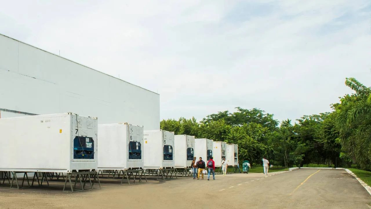 Cómo se realiza el transporte internacional de carga refrigerada