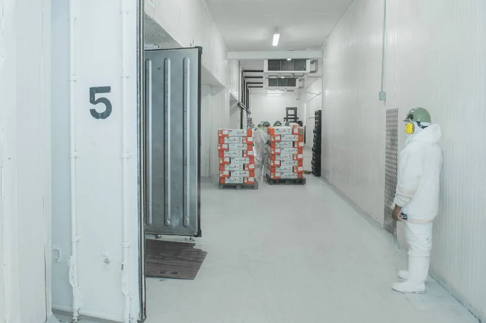 La importancia de los contenedores refrigerados en el transporte de alimentos perecederos