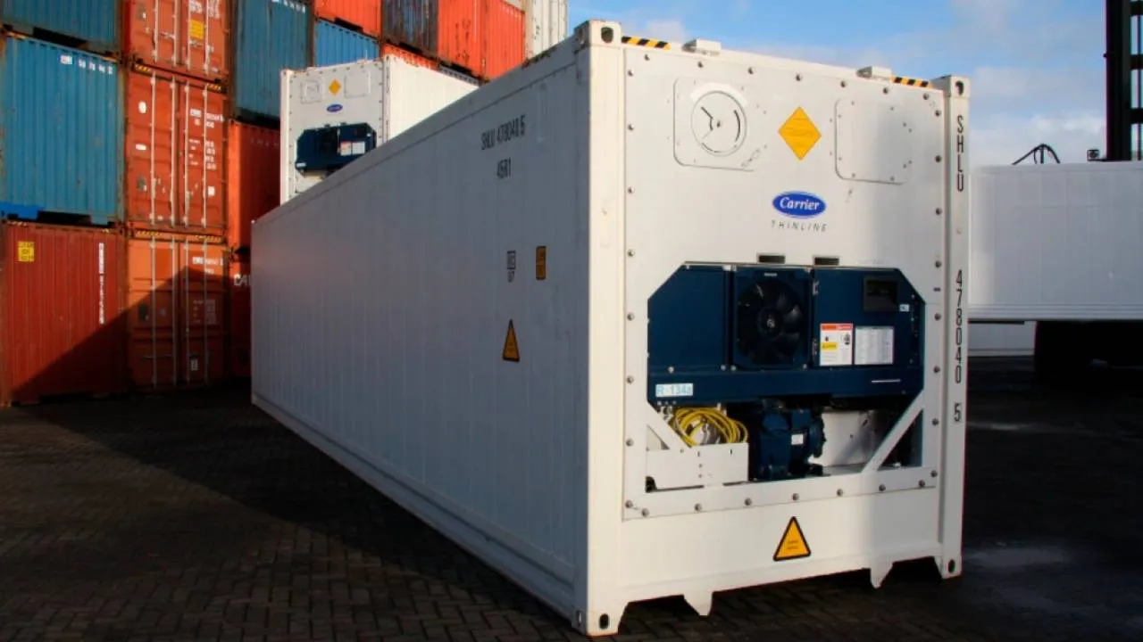 Container reefer: Sus principales características y usos