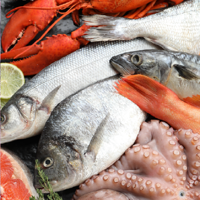 Pescados y mariscos